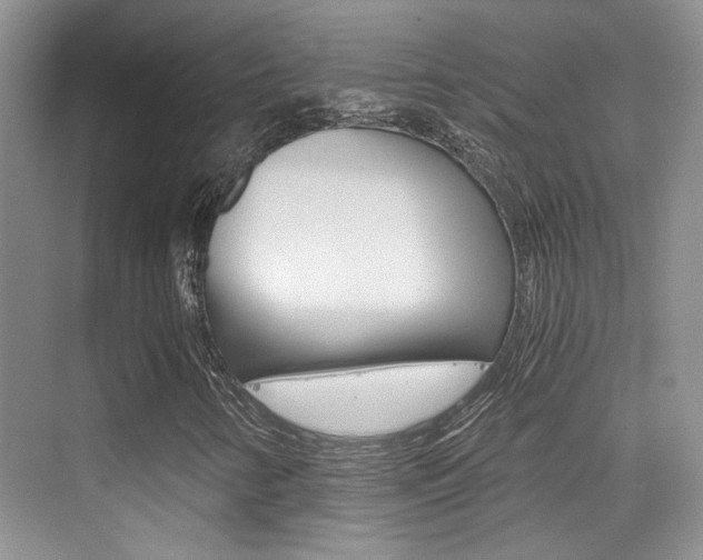 X0000076031346200609220842