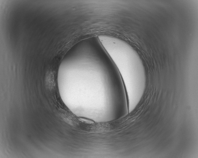 X0000076031347200609220842