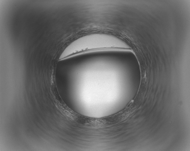 X0000076031348200609220842