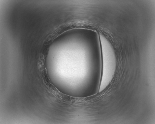 X0000076031349200609220842