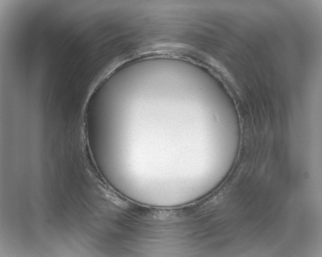 X0000076031362200609220842