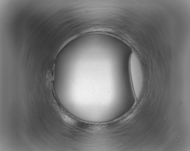 X0000076031369200609220842