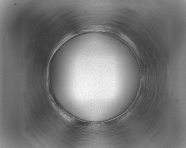 X0000076031378200609220841