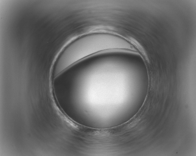 X0000076031384200609220841