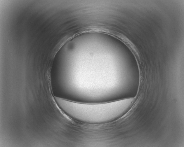 X0000076031385200609220841