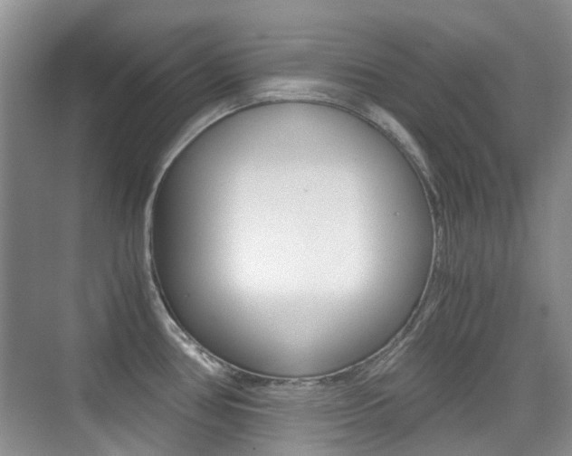 X0000076031386200609220841
