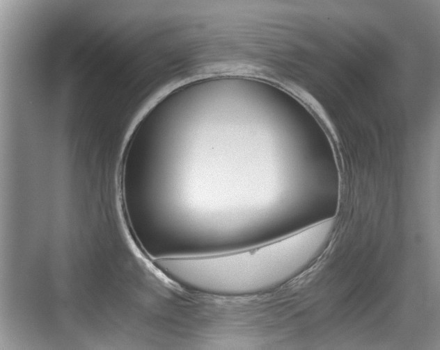 X0000076031389200609220841