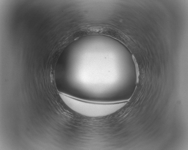 X0000076031394200609220840