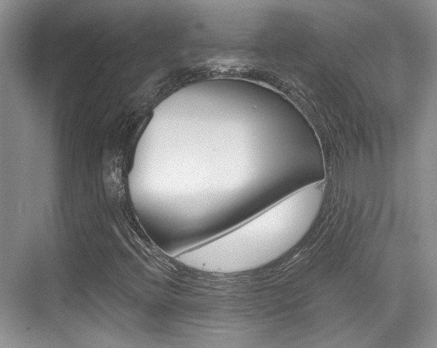 X0000076031396200609220841