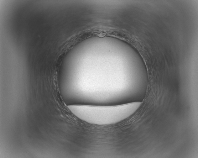 X0000076031397200609220841