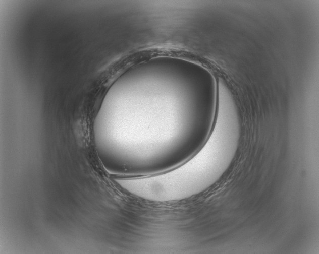 X0000076031398200609220841