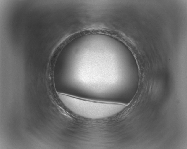 X0000076031400200609220841