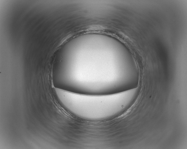X0000076031401200609220841
