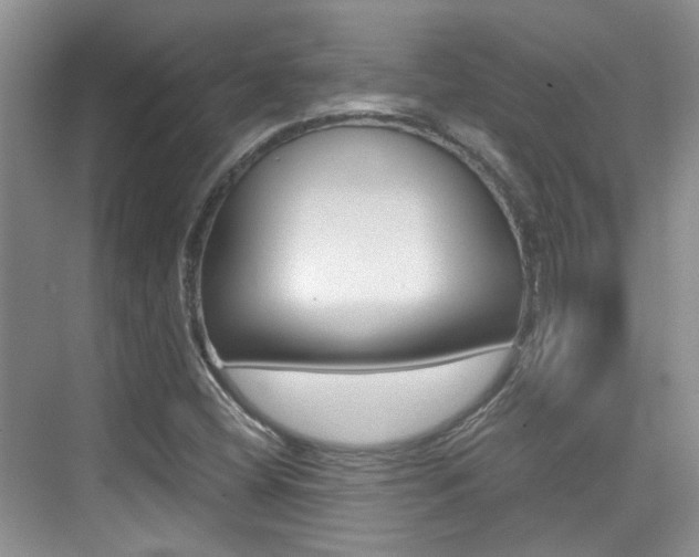X0000076031404200609220841