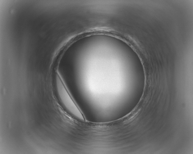 X0000076031406200609220841