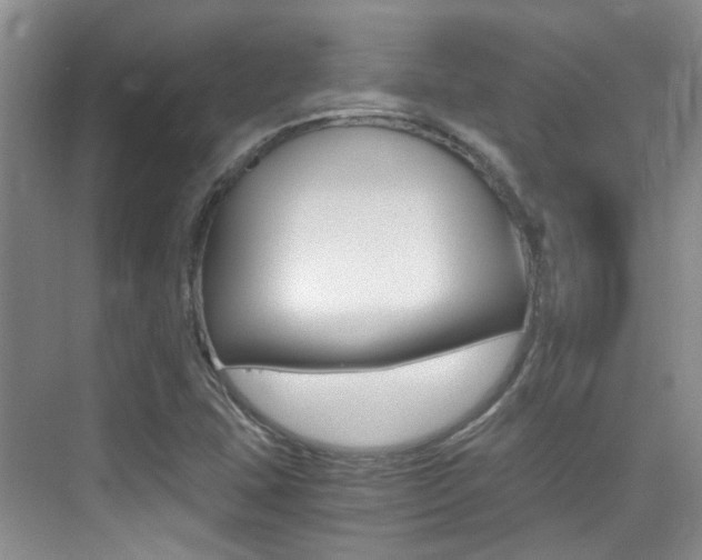 X0000076031407200609220841