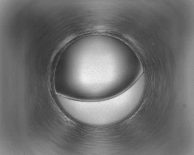 X0000076031410200609220841