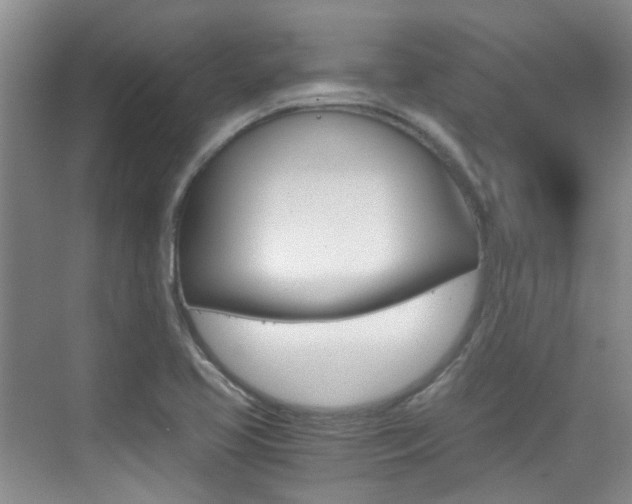 X0000076031413200609220841