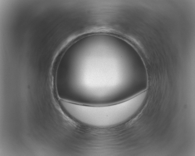 X0000076031414200609220841