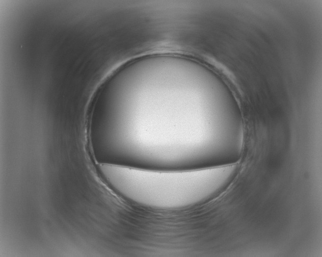 X0000076031415200609220841