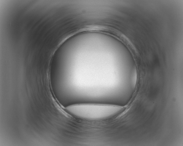 X0000076031417200609220841