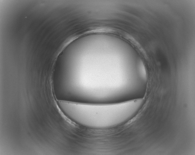 X0000076031425200609220841