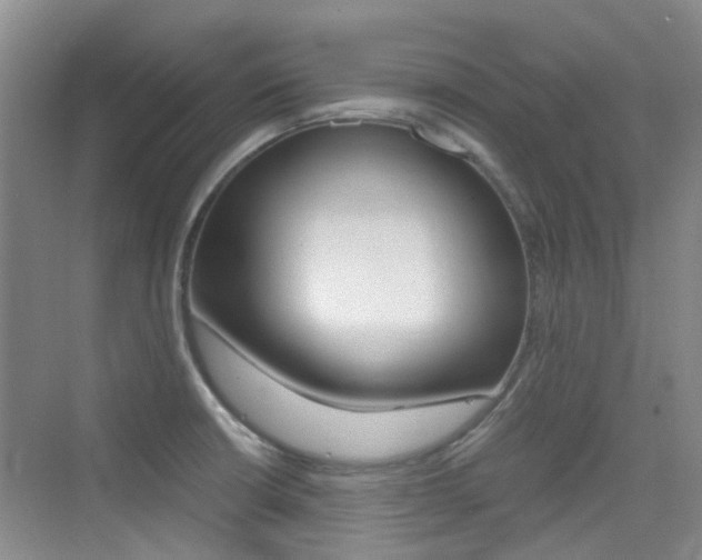 X0000076031426200609220841