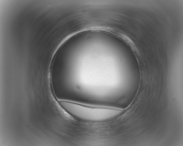 X0000076031428200609220841