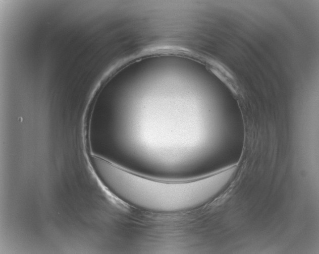 X0000076031430200609220841