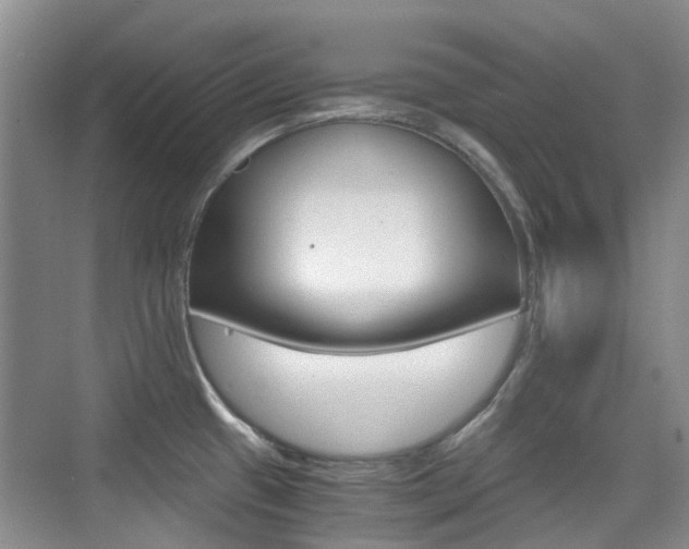 X0000076031433200609220841