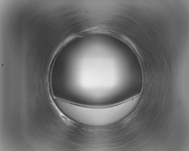 X0000076031434200609220841