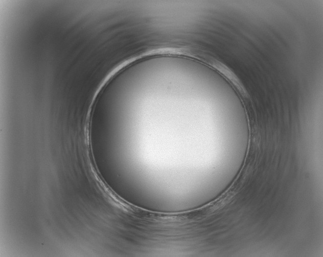 X0000076031436200609220841
