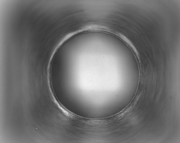 X0000076031437200609220841