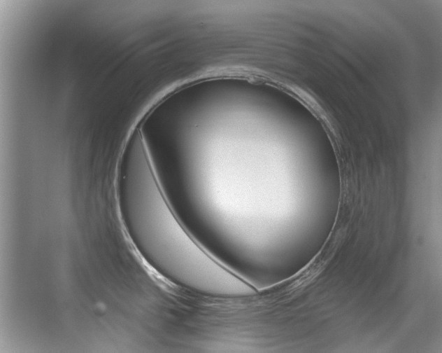 X0000076031438200609220841