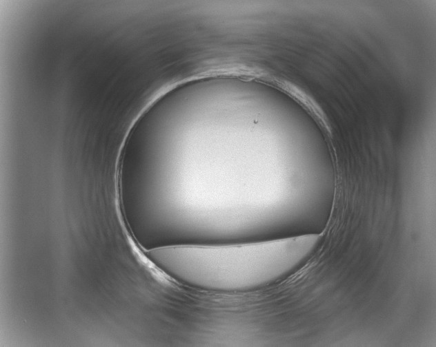 X0000076031439200609220841