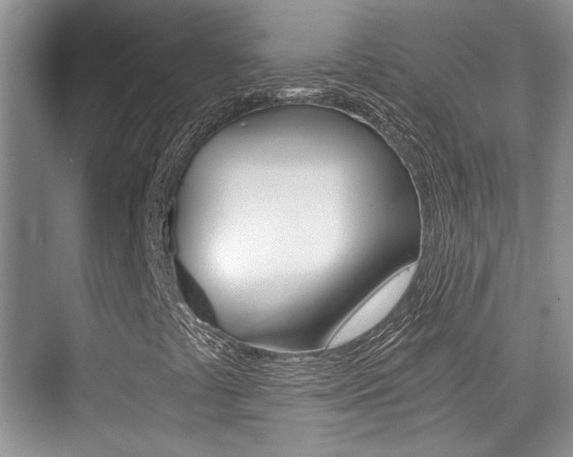 X0000076031441200609220840