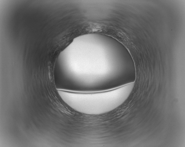 X0000076031442200609220840