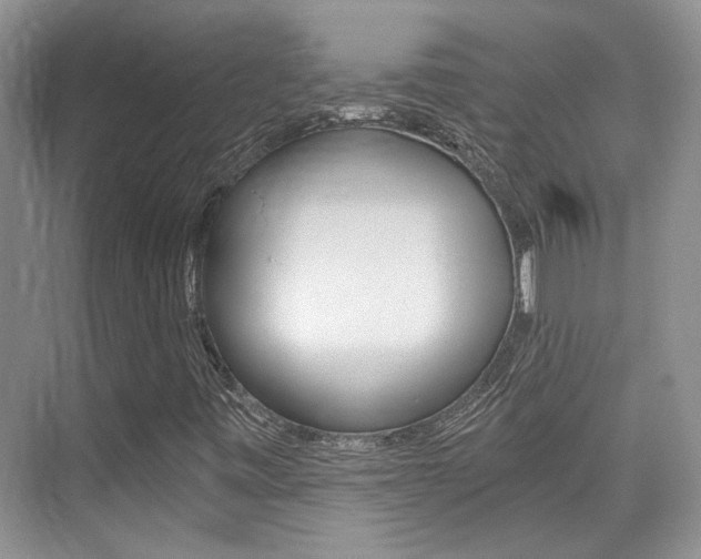 X0000076031443200609220840