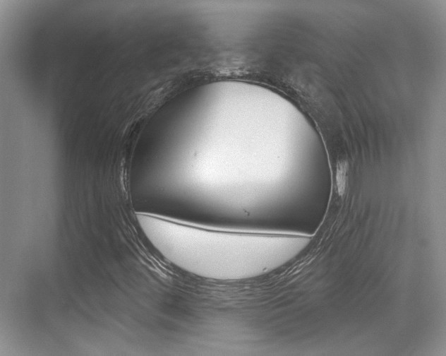 X0000076031444200609220840