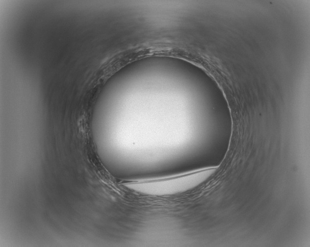 X0000076031445200609220840