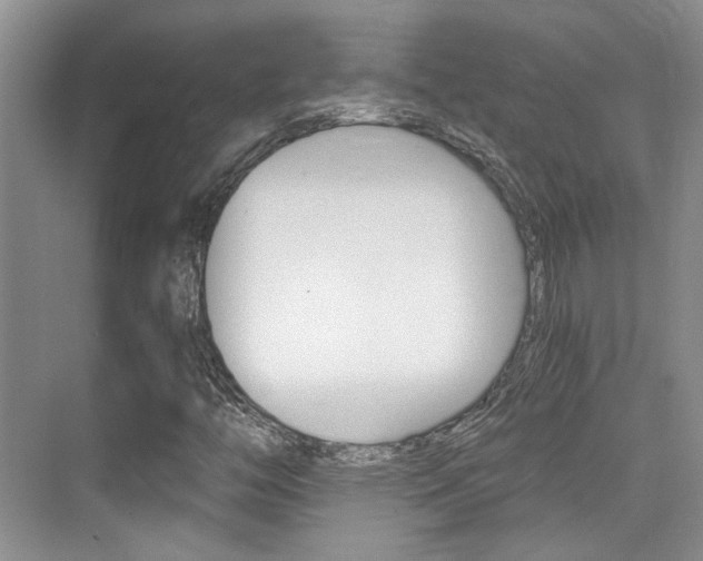 X0000076031446200609220840