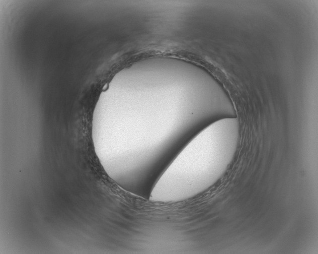 X0000076031447200609220840