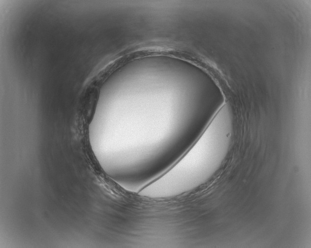 X0000076031448200609220840