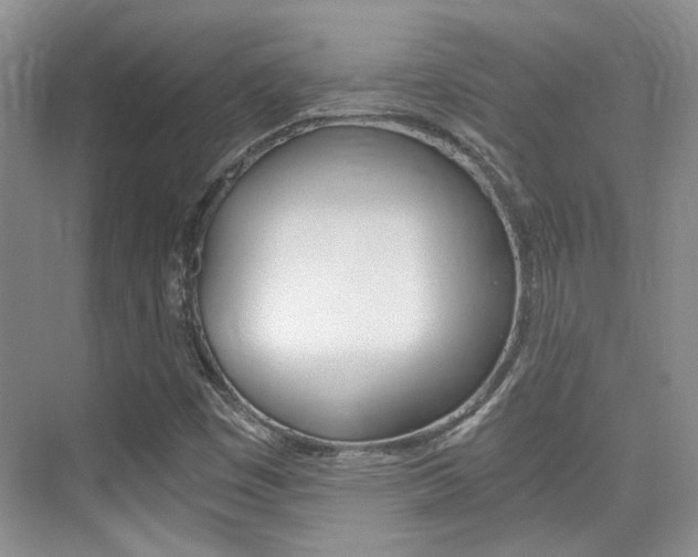 X0000076031449200609220840
