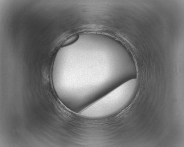X0000076031451200609220840
