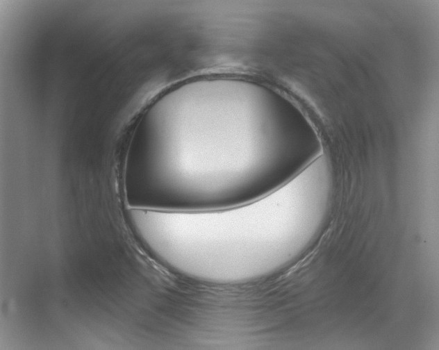 X0000076031455200609220840