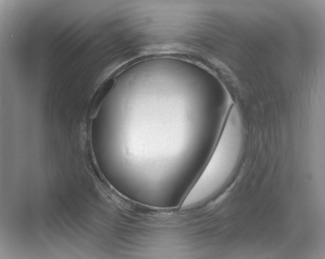 X0000076031457200609220840