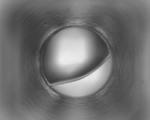 X0000076031458200609220840