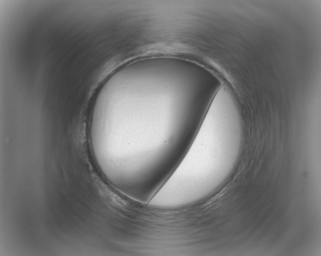 X0000076031459200609220840