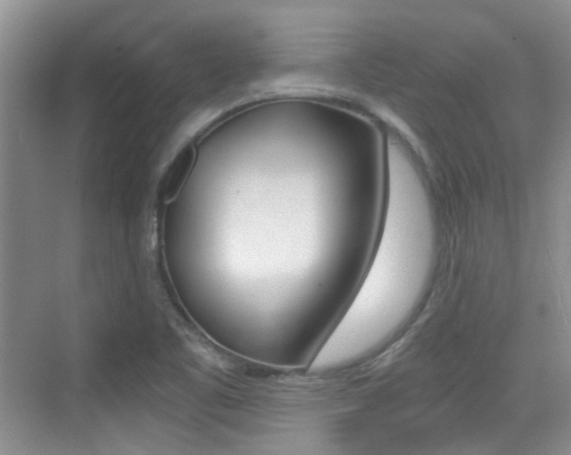X0000076031461200609220840